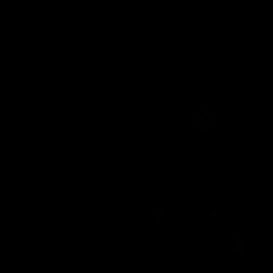 Meet your Posher, Kacey